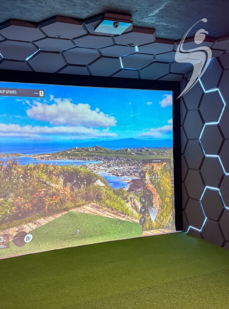 Simualtor_private3_card_trackman